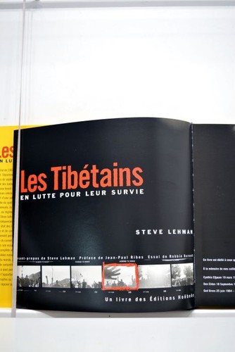Livre ancien lehman les - lehman,